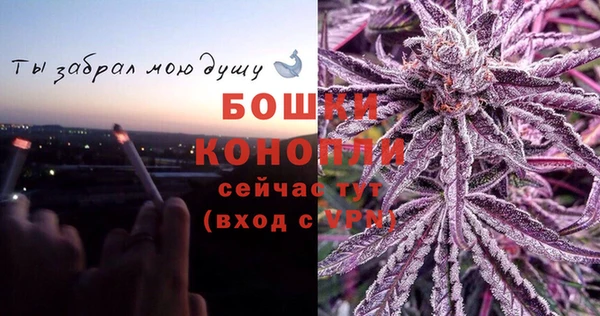 сатива Липки