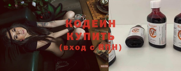 сатива Липки