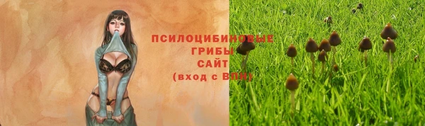 МДМА Лиски