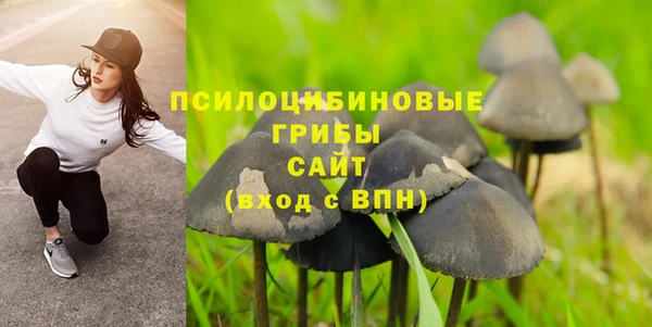 спайс Лихославль
