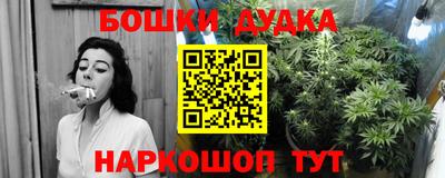 винт Дубна
