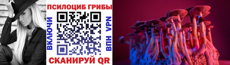 Галлюциногенные грибы Psilocybine cubensis  кракен как зайти  Сарапул 