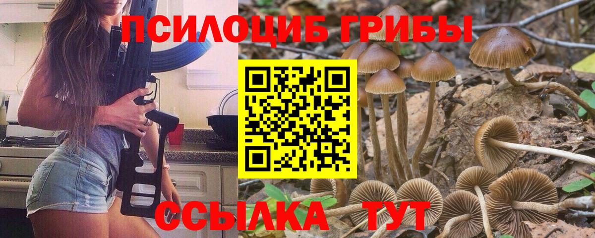 Галлюциногенные грибы Magic Shrooms Сарапул