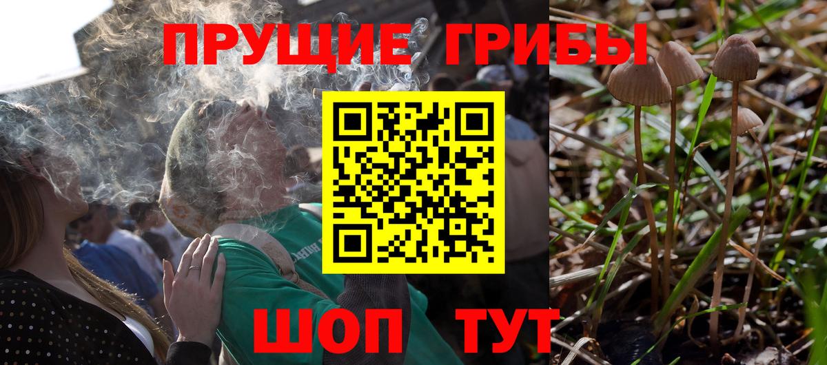 Сарапул  Псилоцибиновые грибы Psilocybe  Псилоцибиновые грибы GOLDEN TEACHER  хочу наркоту  Вход с VPN 
